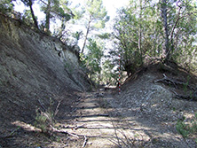 FOTO: Francisco Mart&iacute;nez Sevilla